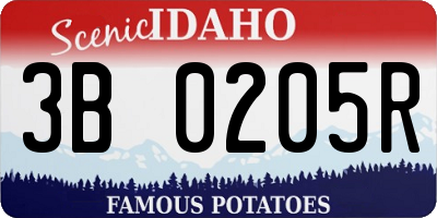 ID license plate 3B0205R