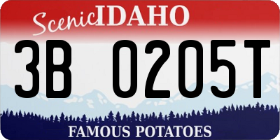 ID license plate 3B0205T