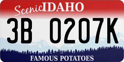ID license plate 3B0207K