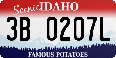 ID license plate 3B0207L
