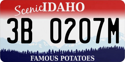 ID license plate 3B0207M