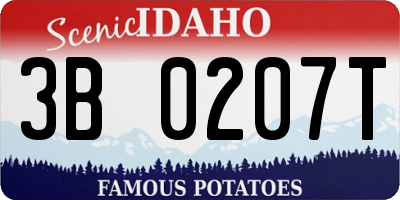 ID license plate 3B0207T