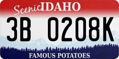 ID license plate 3B0208K