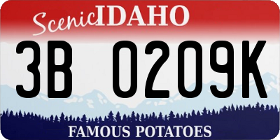ID license plate 3B0209K