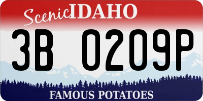 ID license plate 3B0209P