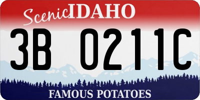 ID license plate 3B0211C