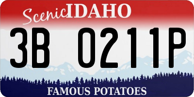 ID license plate 3B0211P