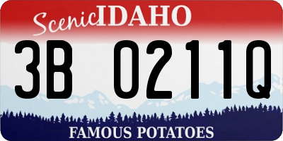 ID license plate 3B0211Q