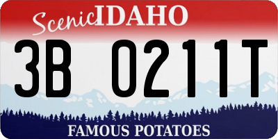 ID license plate 3B0211T
