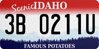 ID license plate 3B0211U