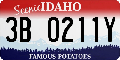 ID license plate 3B0211Y