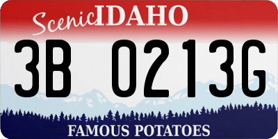 ID license plate 3B0213G