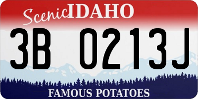 ID license plate 3B0213J