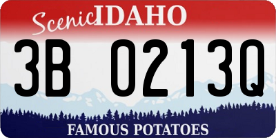ID license plate 3B0213Q