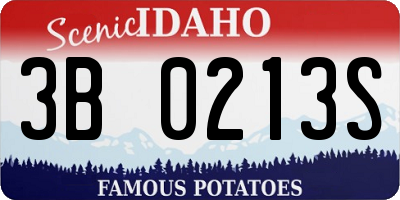 ID license plate 3B0213S
