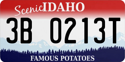 ID license plate 3B0213T