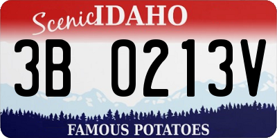 ID license plate 3B0213V