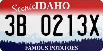 ID license plate 3B0213X