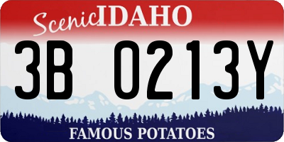 ID license plate 3B0213Y