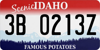 ID license plate 3B0213Z