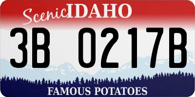 ID license plate 3B0217B