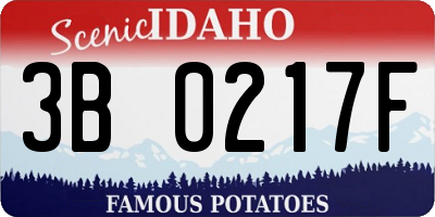 ID license plate 3B0217F
