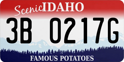 ID license plate 3B0217G