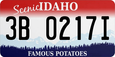 ID license plate 3B0217I