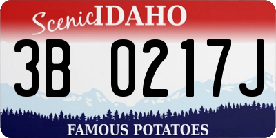 ID license plate 3B0217J