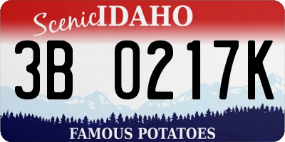 ID license plate 3B0217K