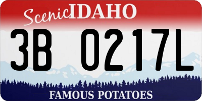 ID license plate 3B0217L