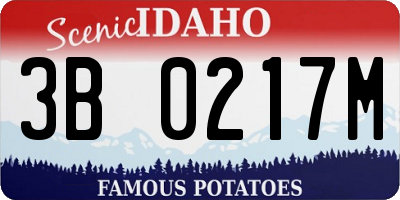 ID license plate 3B0217M