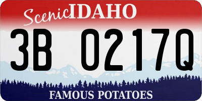 ID license plate 3B0217Q