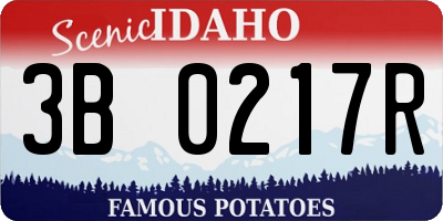 ID license plate 3B0217R
