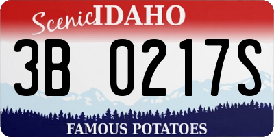 ID license plate 3B0217S