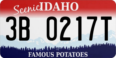 ID license plate 3B0217T