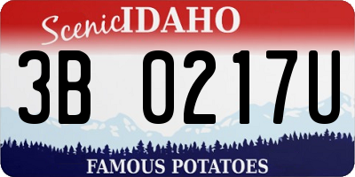 ID license plate 3B0217U