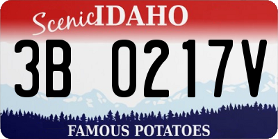 ID license plate 3B0217V