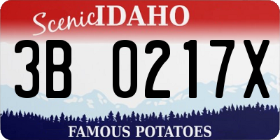 ID license plate 3B0217X