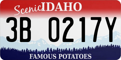 ID license plate 3B0217Y