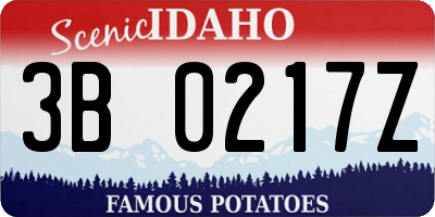 ID license plate 3B0217Z