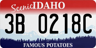 ID license plate 3B0218C