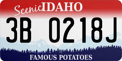 ID license plate 3B0218J
