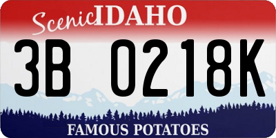 ID license plate 3B0218K