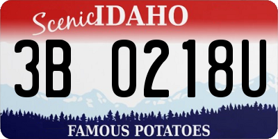 ID license plate 3B0218U