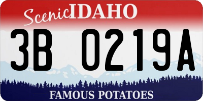ID license plate 3B0219A