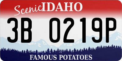 ID license plate 3B0219P