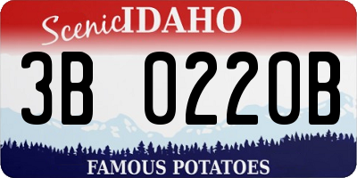 ID license plate 3B0220B