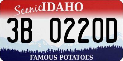ID license plate 3B0220D