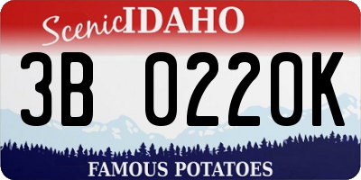 ID license plate 3B0220K